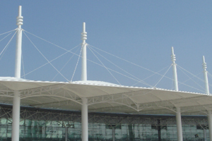 安徽肥西花木城